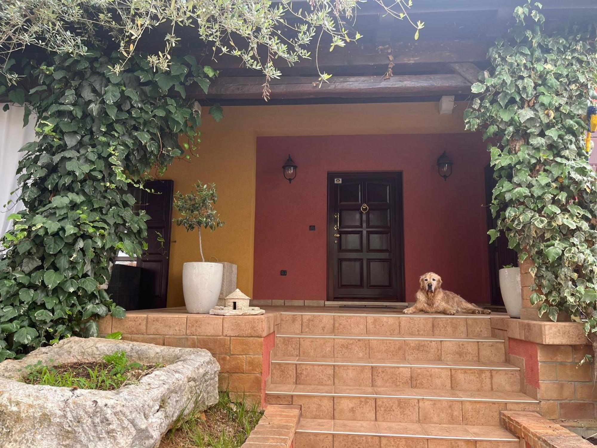 New!!! La Magrina - Bed&Breakfast Vrsar Zewnętrze zdjęcie